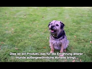 Klicken, um dieses Video zu sehen