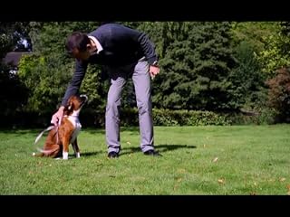 Klicken, um dieses Video zu sehen