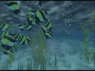 Cliquez pour regarder cette vid�o