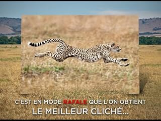 Cliquez pour regarder cette vid�o