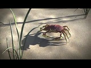 Cliquez pour regarder cette vid�o