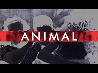 Click to watch this video