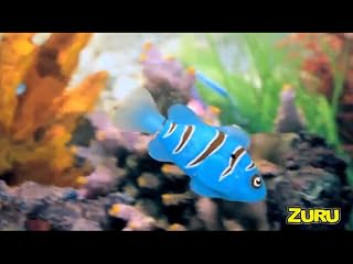 ���̓�����ς�ɂ̓N���b�N���܂��B