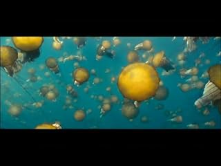 Cliquez pour regarder cette vid�o