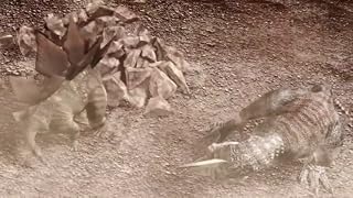 Cliquez pour regarder cette vid�o