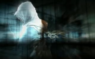 Cliquez pour regarder cette vid�o