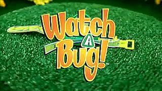 Click to watch this video