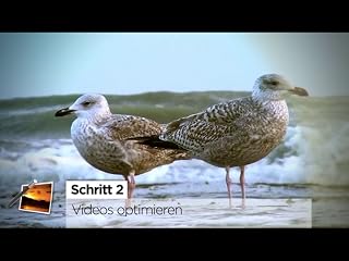 Klicken, um dieses Video zu sehen