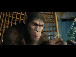 Cliquez pour regarder cette vid�o