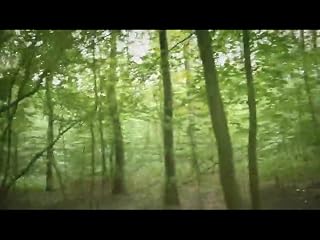 Klicken, um dieses Video zu sehen