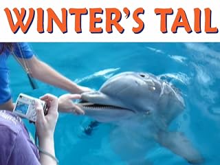 Click to watch this video