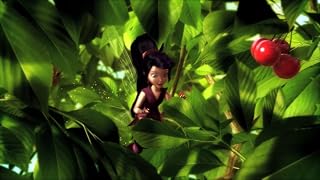 Cliquez pour regarder cette vid�o