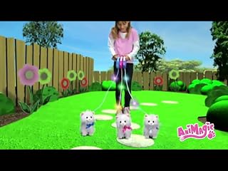 Klicken, um dieses Video zu sehen
