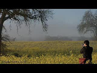 Klicken, um dieses Video zu sehen