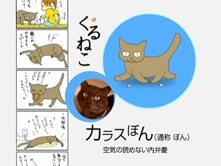 ���̓�����ς�ɂ̓N���b�N���܂��B