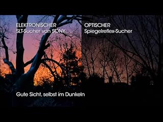Klicken, um dieses Video zu sehen