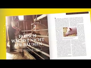 Klicken, um dieses Video zu sehen