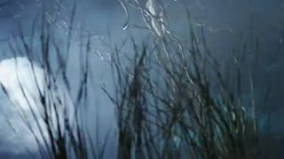 Cliquez pour regarder cette vid�o