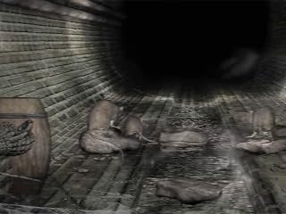 Klicken, um dieses Video zu sehen