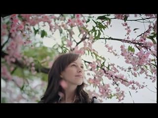 Klicken, um dieses Video zu sehen
