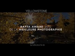 Cliquez pour regarder cette vid�o