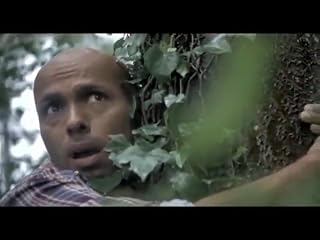 Cliquez pour regarder cette vid�o