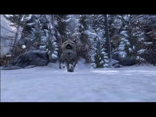 Cliquez pour regarder cette vid�o