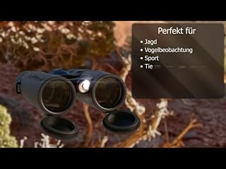 Klicken, um dieses Video zu sehen