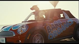 Klicken, um dieses Video zu sehen