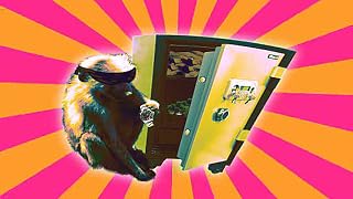 Cliquez pour regarder cette vid�o