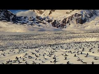 Cliquez pour regarder cette vid�o