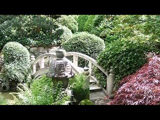 Klicken, um dieses Video zu sehen
