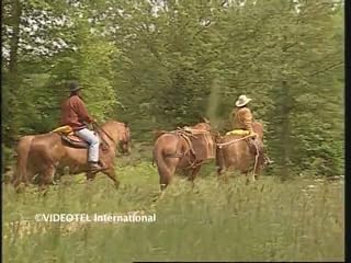 Cliquez pour regarder cette vid�o