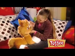Cliquez pour regarder cette vid�o