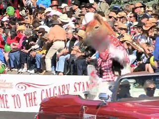 Click to watch this video