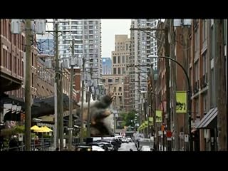 Cliquez pour regarder cette vid�o