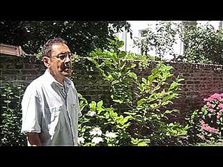 Klicken, um dieses Video zu sehen
