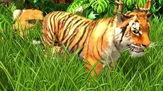 Cliquez pour regarder cette vid�o