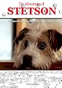 Main1371067847._sx220_sy125_