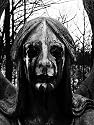 Main1365598685._sx220_sy125_