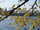 Main1315533086._sx220_sy124_