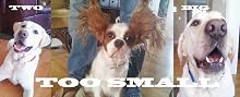 Main1320536140._sx220_sy125_
