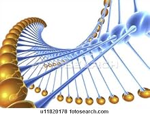 Main1336407001._sx304_sy171_