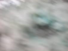 Main1293836510._sx304_sy171_