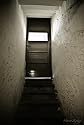 Main1301522103._sx220_sy125_