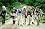 Main1296547597._sx45_sy45_