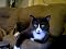 Main1311304663._sx60_sy60_