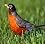 Main1353400242._sx45_sy45_