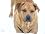 Main1345764009._sx45_sy45_
