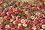 Main1329534473._sx45_sy45_